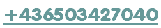+436503427040